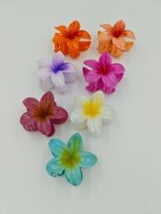 Büyük Boy Lotus Toka 12li(Adet:20TL)8CM