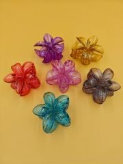Büyük Boy Lotus 12li (Adet:10TL) 6CM