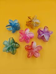 Büyük Boy Lotus 12li (Adet:10TL) 6CM