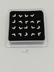 Gümüş Hızma 20li (Adet:15TL)