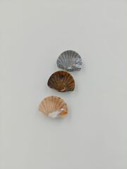 Renkli Mandal Toka 12li (Adet:15TL)4CM